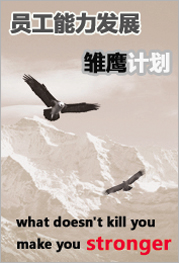 员工能力发展——雏鹰计划